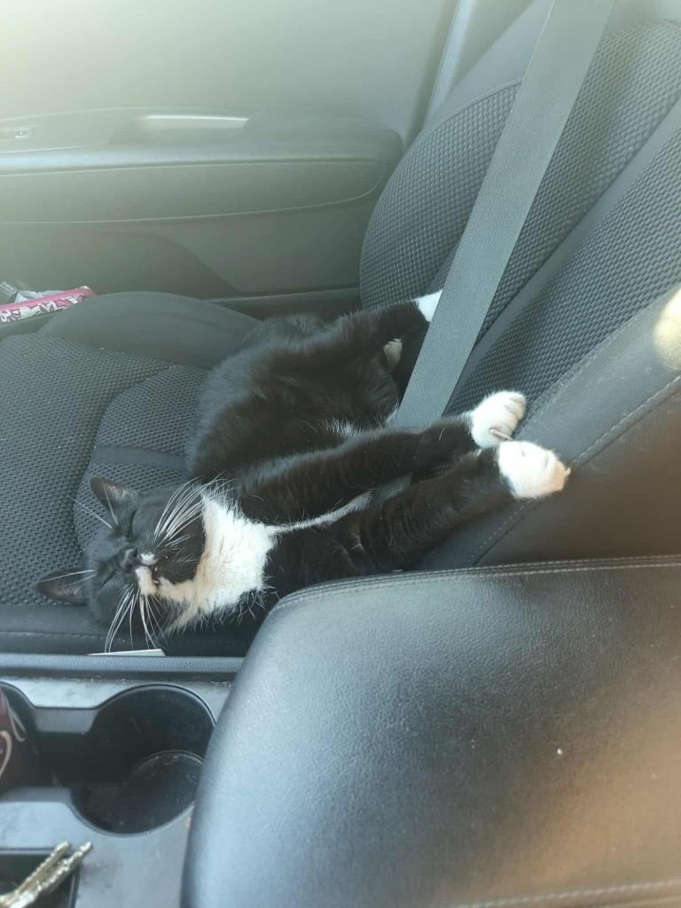 messenger_creation_24248190113029111020229442058615016