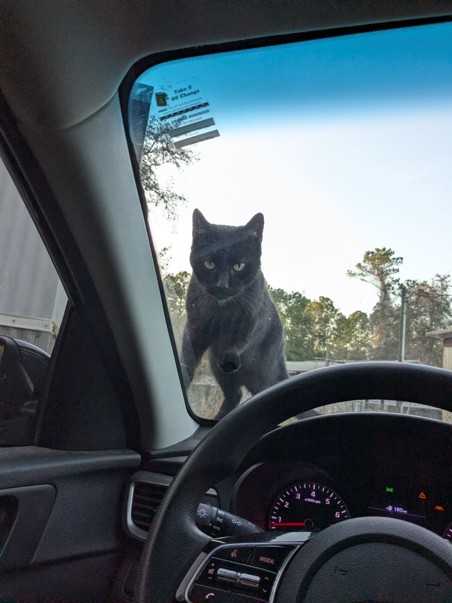 pxl_20260217_2250298058630240752899830818