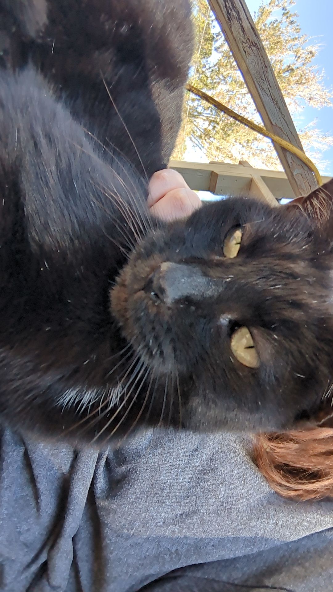 snapchat-1279596052474039493495778613