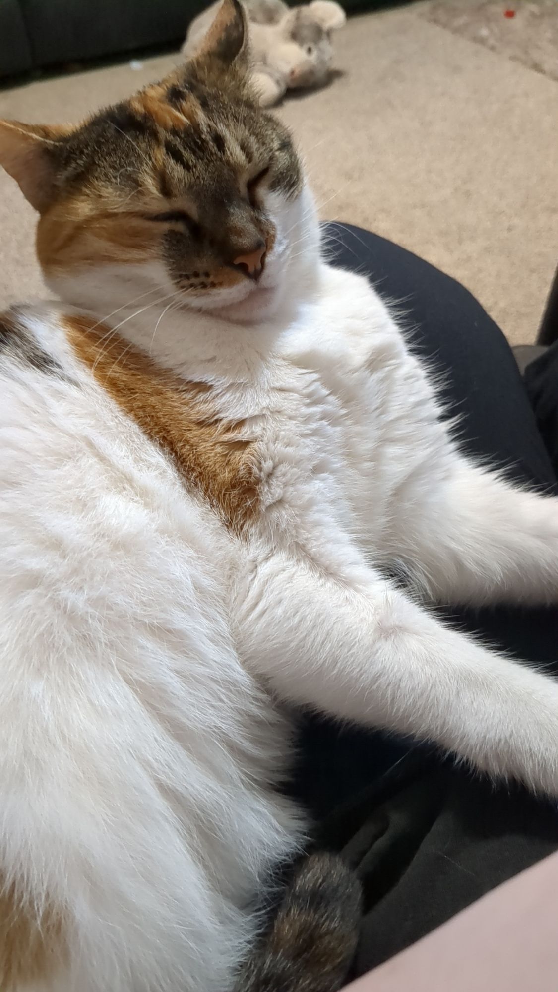 snapchat-16010887407042031134256953941