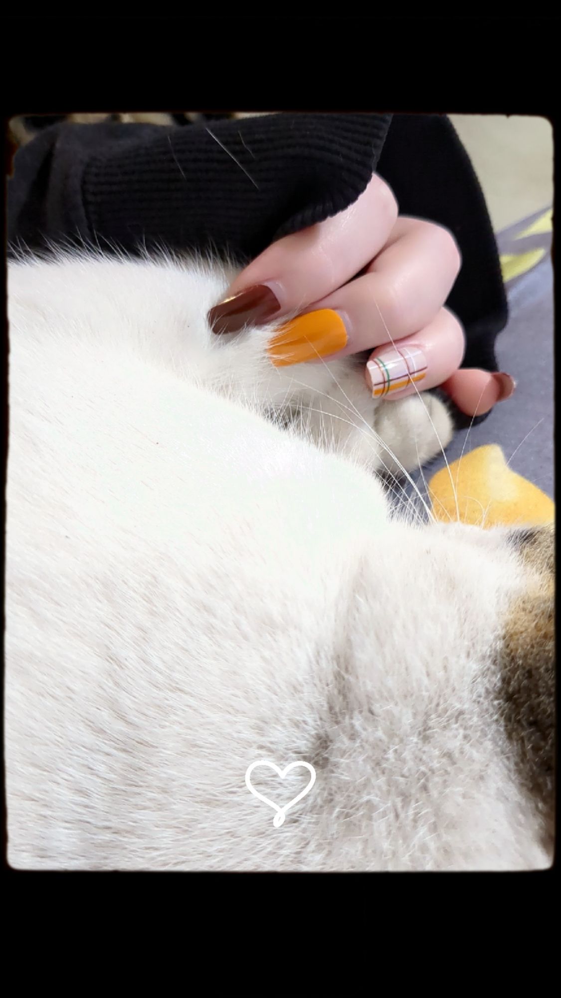 snapchat-1782291760131592449985720243