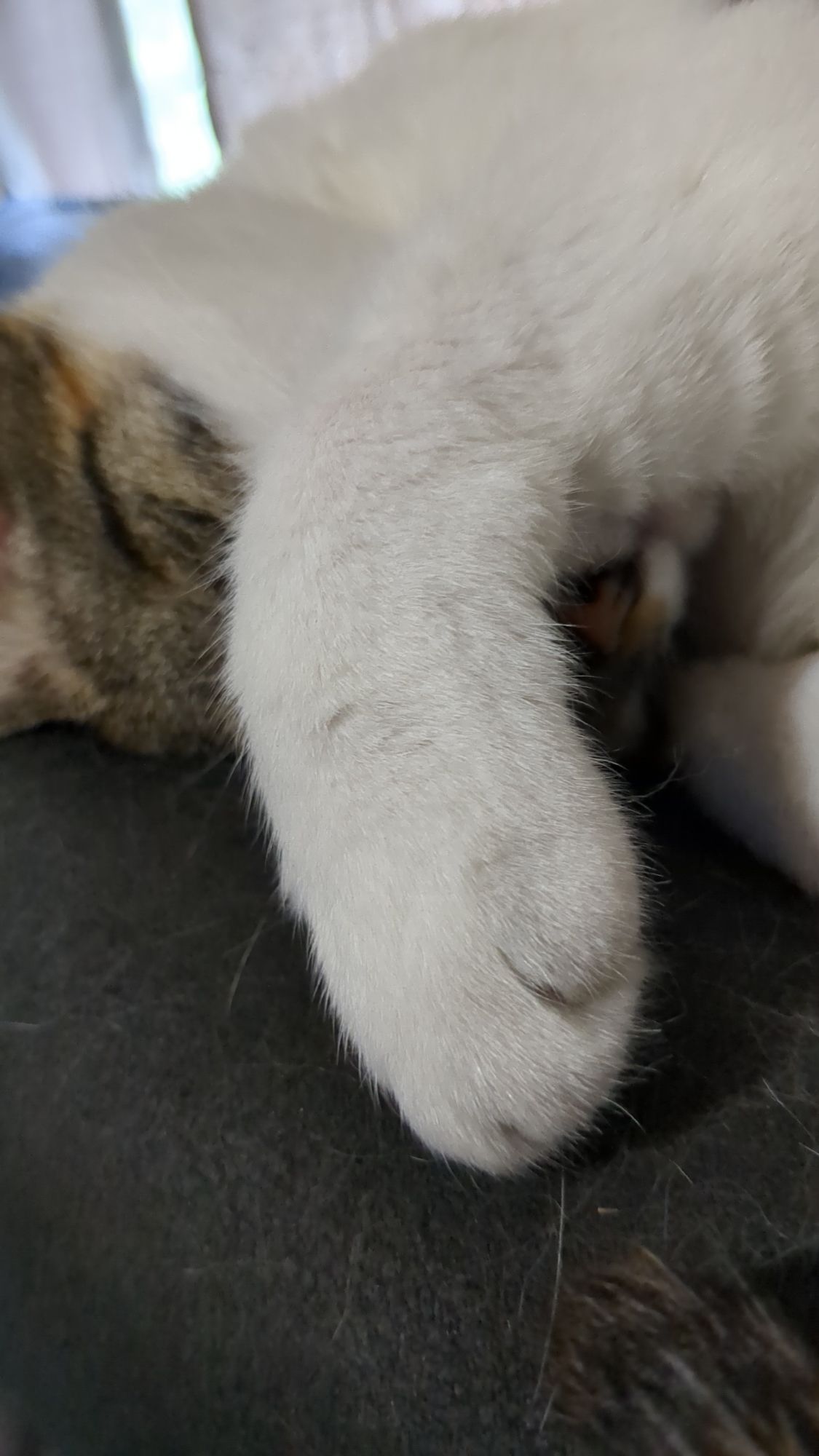 snapchat-511502936615369421672566121