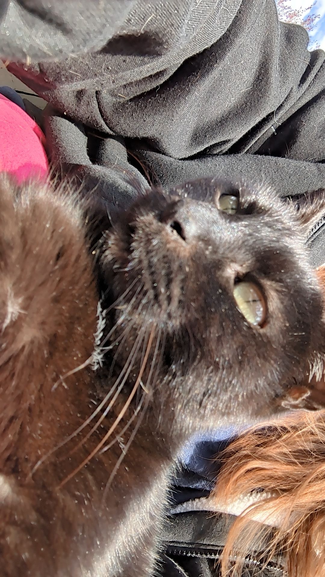 snapchat-8017219676326482509789293548